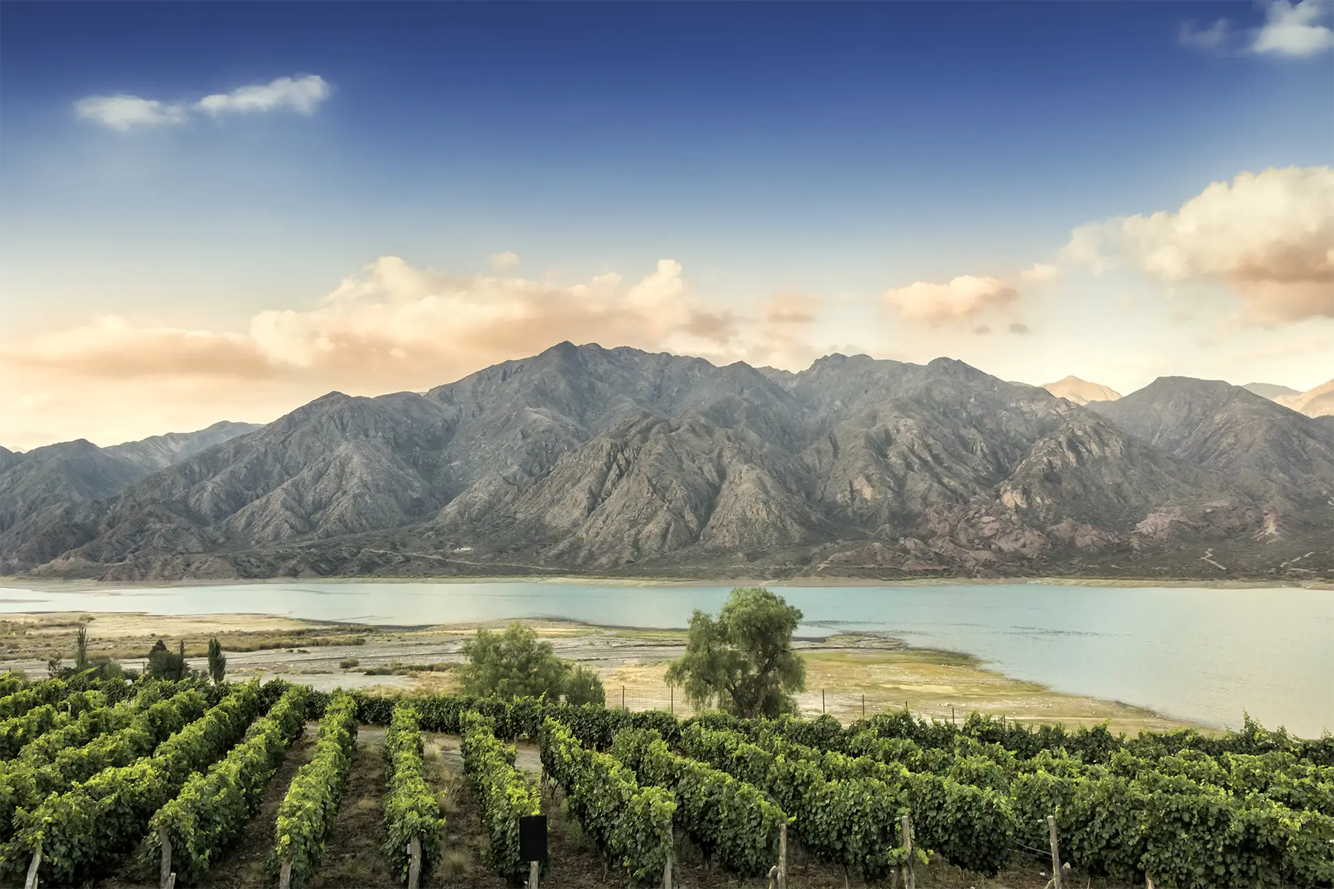 Mendoza vinyard with Andes mountains and river