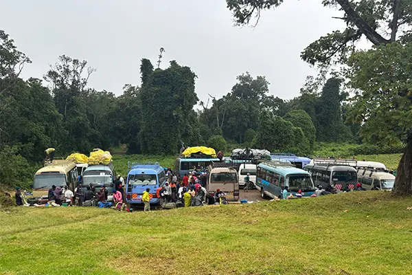 day3-Buses-at-Lemosho-Gate