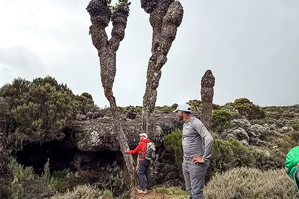 day4-Kili-161