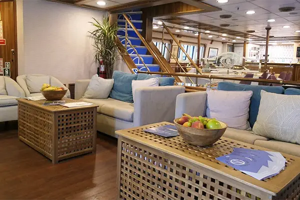 lounge-p